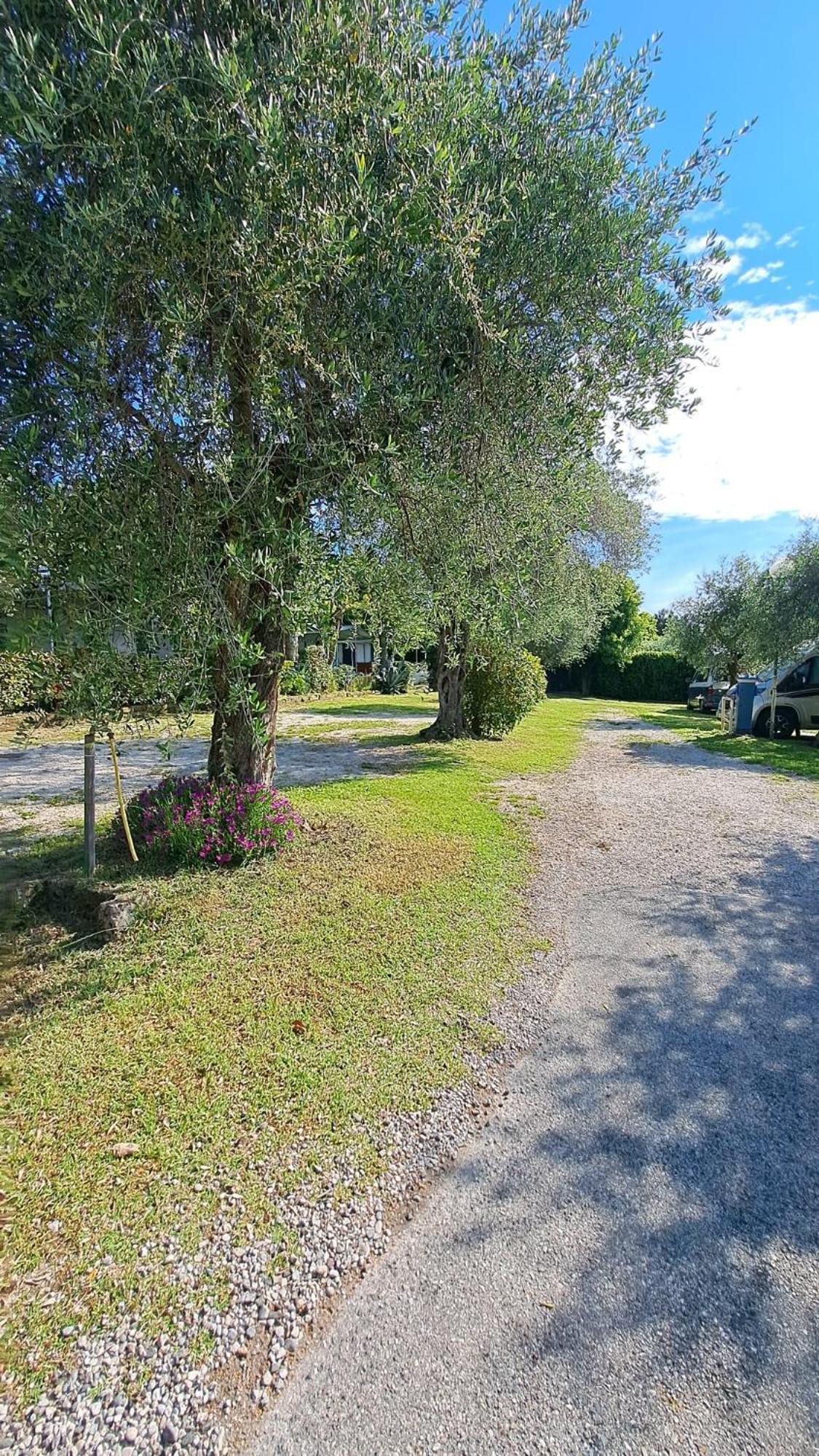 Camping Porto Srl Moniga del Garda Exterior foto